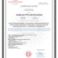 Powiększ obraz: certificate 32