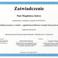 Powiększ obraz: certificate 2