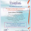 Powiększ obraz: certificate 10