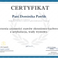 Powiększ obraz: certificate 6
