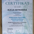 Powiększ obraz: certificate 4