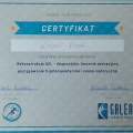 Powiększ obraz: certificate 6