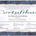 Powiększ obraz: certificate 13
