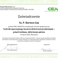 Powiększ obraz: certificate 10