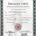 Powiększ obraz: certificate 2