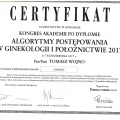 Powiększ obraz: certificate 42