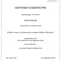 Powiększ obraz: certificate 5