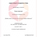 Powiększ obraz: certificate 7