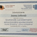 Powiększ obraz: certificate 7