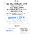 Powiększ obraz: certificate 2