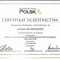 Powiększ obraz: certificate 1