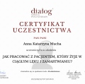 Powiększ obraz: certificate 15