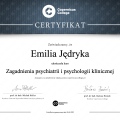 Powiększ obraz: certificate 4