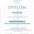 Powiększ obraz: certificate 6