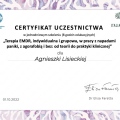 Powiększ obraz: certificate 5