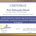 Powiększ obraz: certificate 4