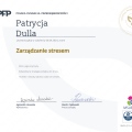 Powiększ obraz: certificate 3