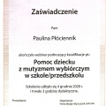 Powiększ obraz: certificate 6