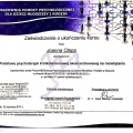 Powiększ obraz: certificate 8