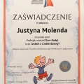 Powiększ obraz: certificate 4