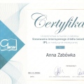 Powiększ obraz: certificate 11