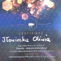 Powiększ obraz: certificate 1