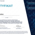 Powiększ obraz: certificate 31