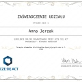 Powiększ obraz: certificate 5