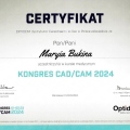 Powiększ obraz: certificate 1