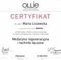 Powiększ obraz: certificate 26