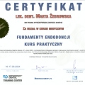 Powiększ obraz: certificate 4