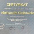 Powiększ obraz: certificate 3