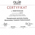 Powiększ obraz: certificate 1