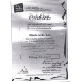 Powiększ obraz: certificate 7
