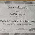 Powiększ obraz: certificate 9