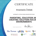 Powiększ obraz: certificate 1