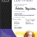 Powiększ obraz: certificate 9
