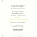 Powiększ obraz: certificate 4