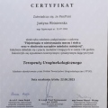 Powiększ obraz: certificate 7