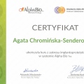 Powiększ obraz: certificate 1