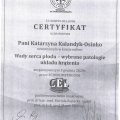 Powiększ obraz: certificate 7