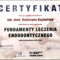 Powiększ obraz: certificate 1