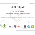 Powiększ obraz: certificate 4
