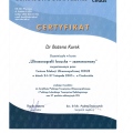 Powiększ obraz: certificate 11