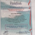Powiększ obraz: certificate 5