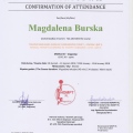 Powiększ obraz: certificate 23