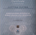 Powiększ obraz: certificate 13
