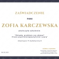 Powiększ obraz: certificate 10