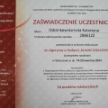 Powiększ obraz: certificate 2