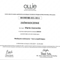 Powiększ obraz: certificate 29
